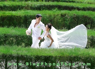 chonvochonchong Gợi ý chọn Vợ gả Chồng Theo Bản Mệnh (Ngũ Hành Phong Thủy)